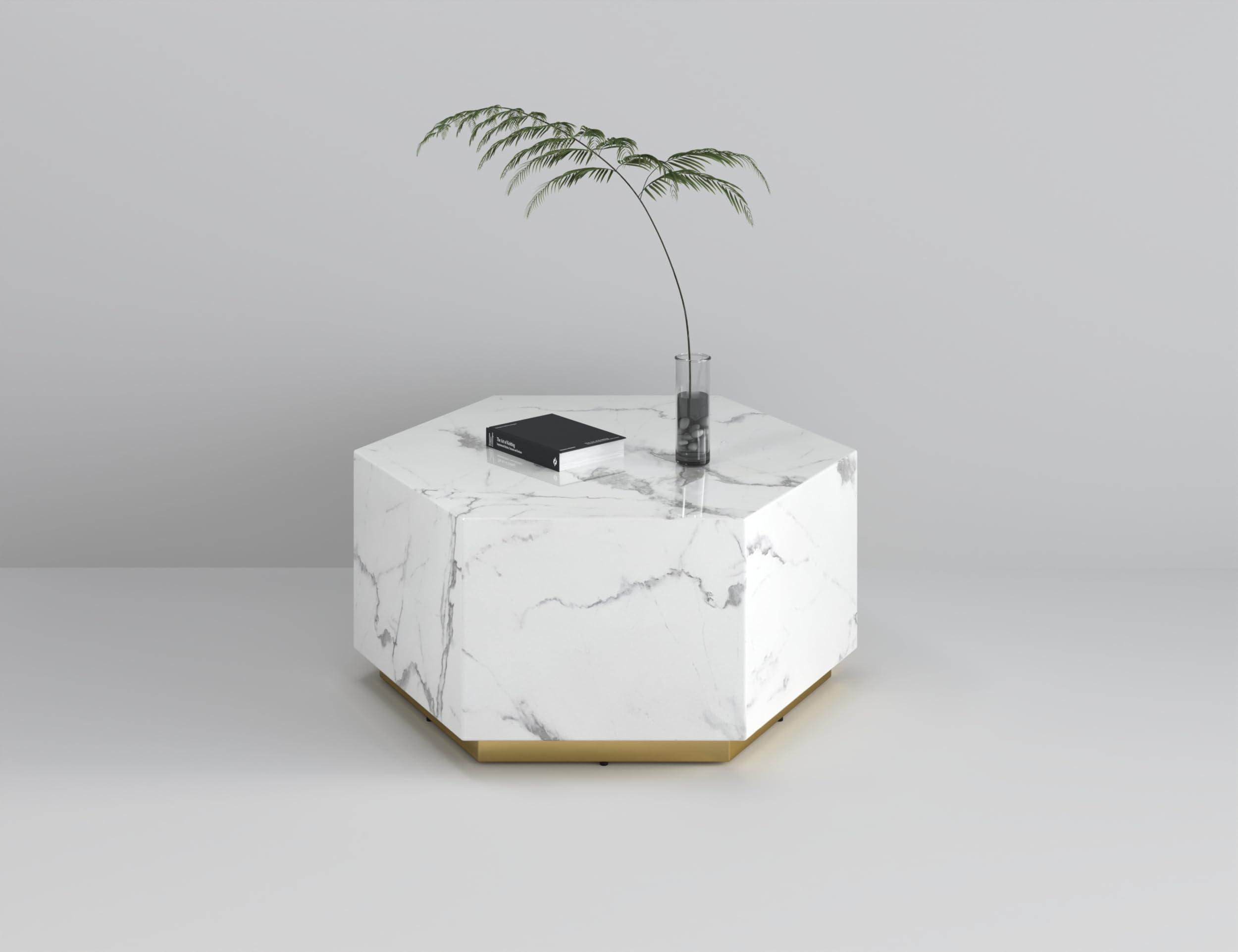 Neos Modern Furniture Neos Modern Furniture Coffee Table, White/Gray