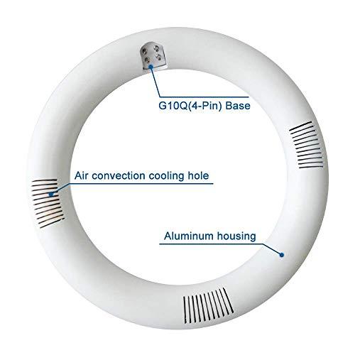 iledlight T9 LED Circline Light Bulb, 8 Inch 1600LM LED Circular Light, 13W Clear Cover 4000K Soft White Replacement for FC8T9 22-Watt Fluorescent Circular Bulb(FC8T9), Ballast Bypass Required