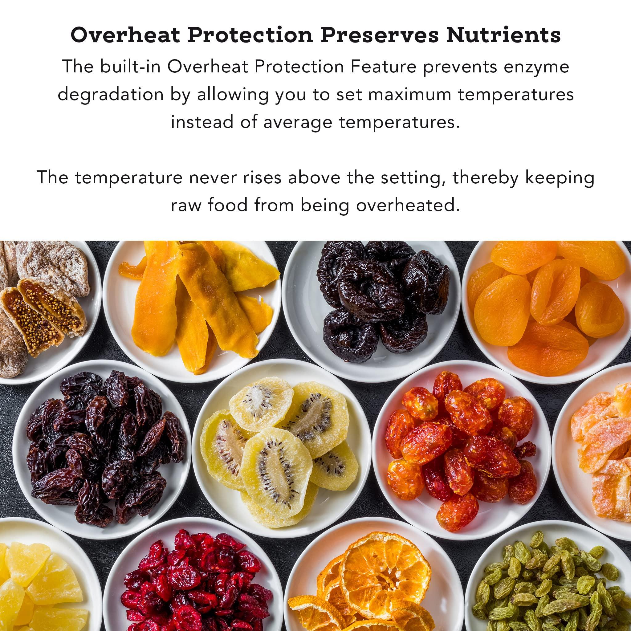 Tribest Tribest Sedona Classic SD-S9000-B Digital Food Dehydrator, Black with Stainless Steel Trays