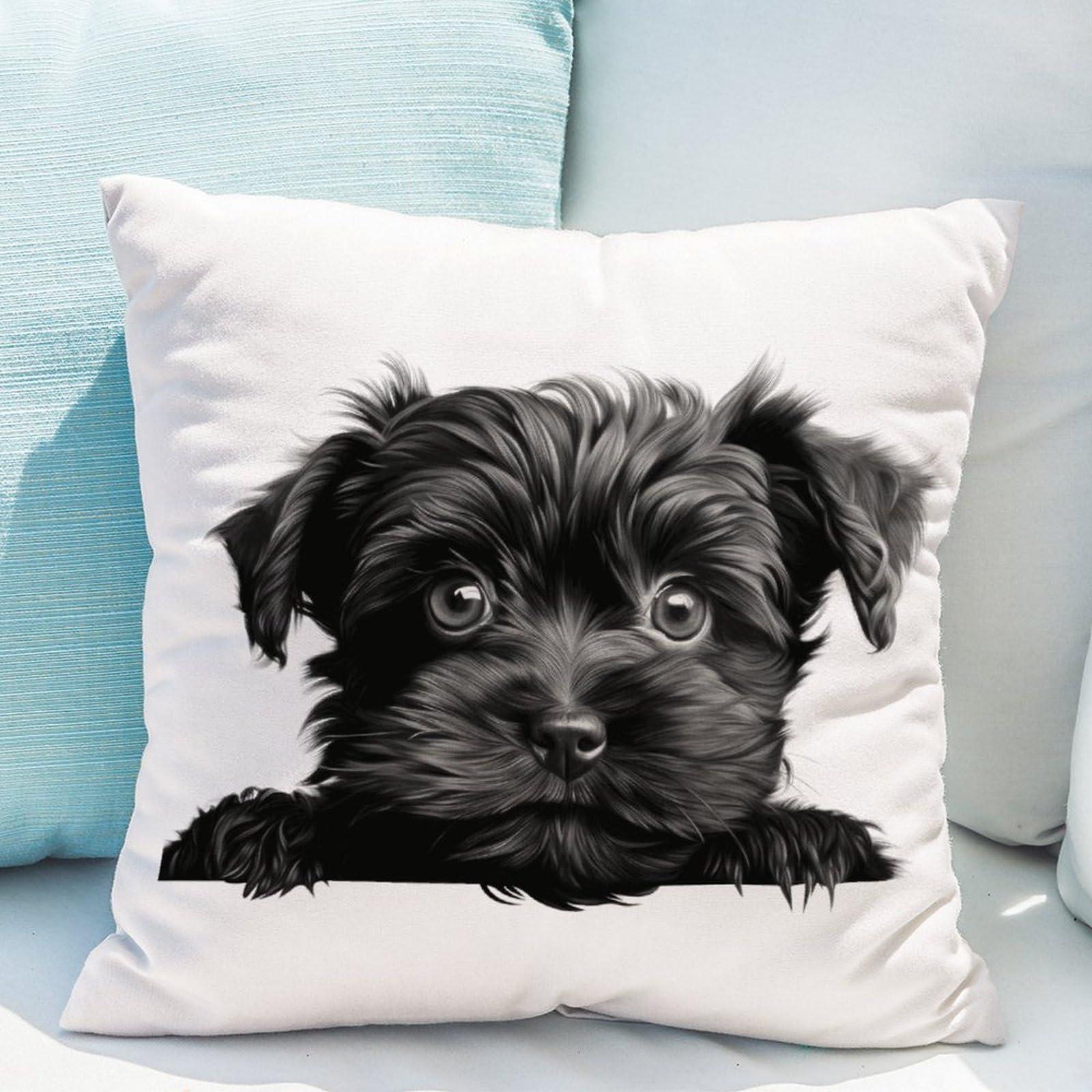 WoGuangis WoGuangis Dog Lover Gift Pet Cushion Covers Affenpinscher Decorative Pillow Covers Affenpinscher Cute Funny Peeking Dog Puppy Throw Pillow Covers with Zipper for Sofa Living Room 24x24in