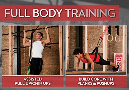 Lifeline Lifeline Pull Up Revolution Pro Nonslip Pull Up Assistance for Improved Pull Up Form