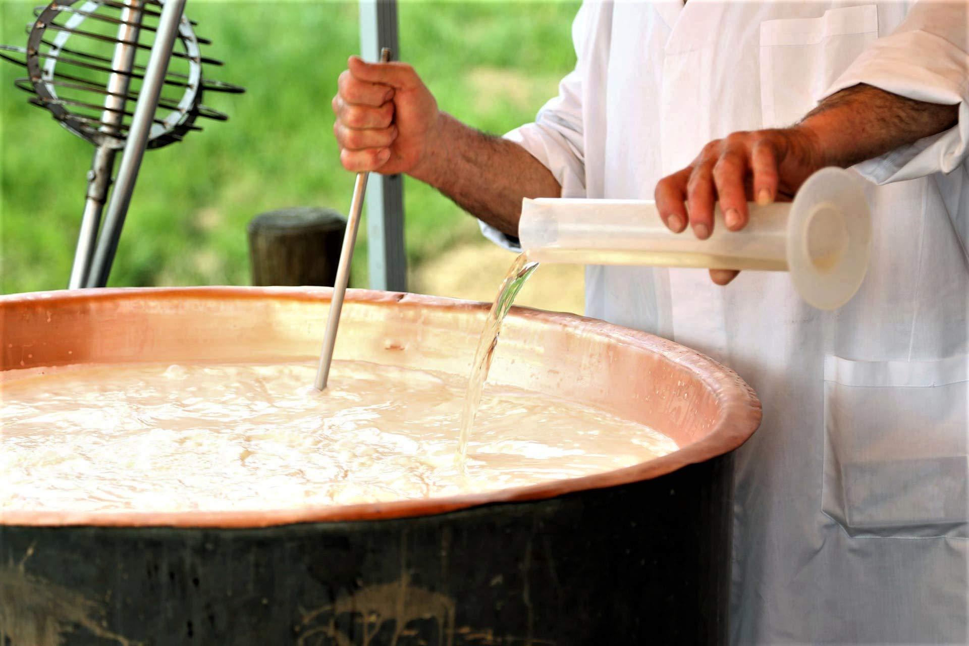 Fromase 50 Rennet Tablets/Fromase 50/5 Tablets + 2 Free Total 7 Tablets Made in France