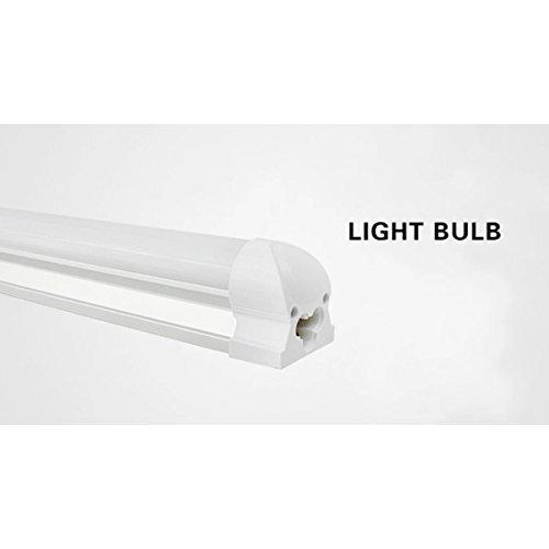 PINSHUO 10PCS 3 Years Warranty DC12V 2ft 0.6m 600mm 10W T8 LED Tube 12v Fluorescent Lamp Daylight Lights (10, Cool White)