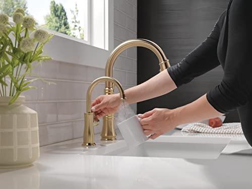 DELTA FAUCET DELTA FAUCET Traditional Instant Hot Water Dispenser, Champagne Bronze
