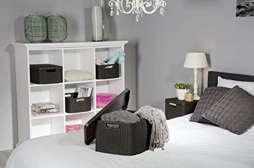 Curver Curver Style 205847 Storage Box Rattan Look Size M with Second-Generation Lid Polypropylene