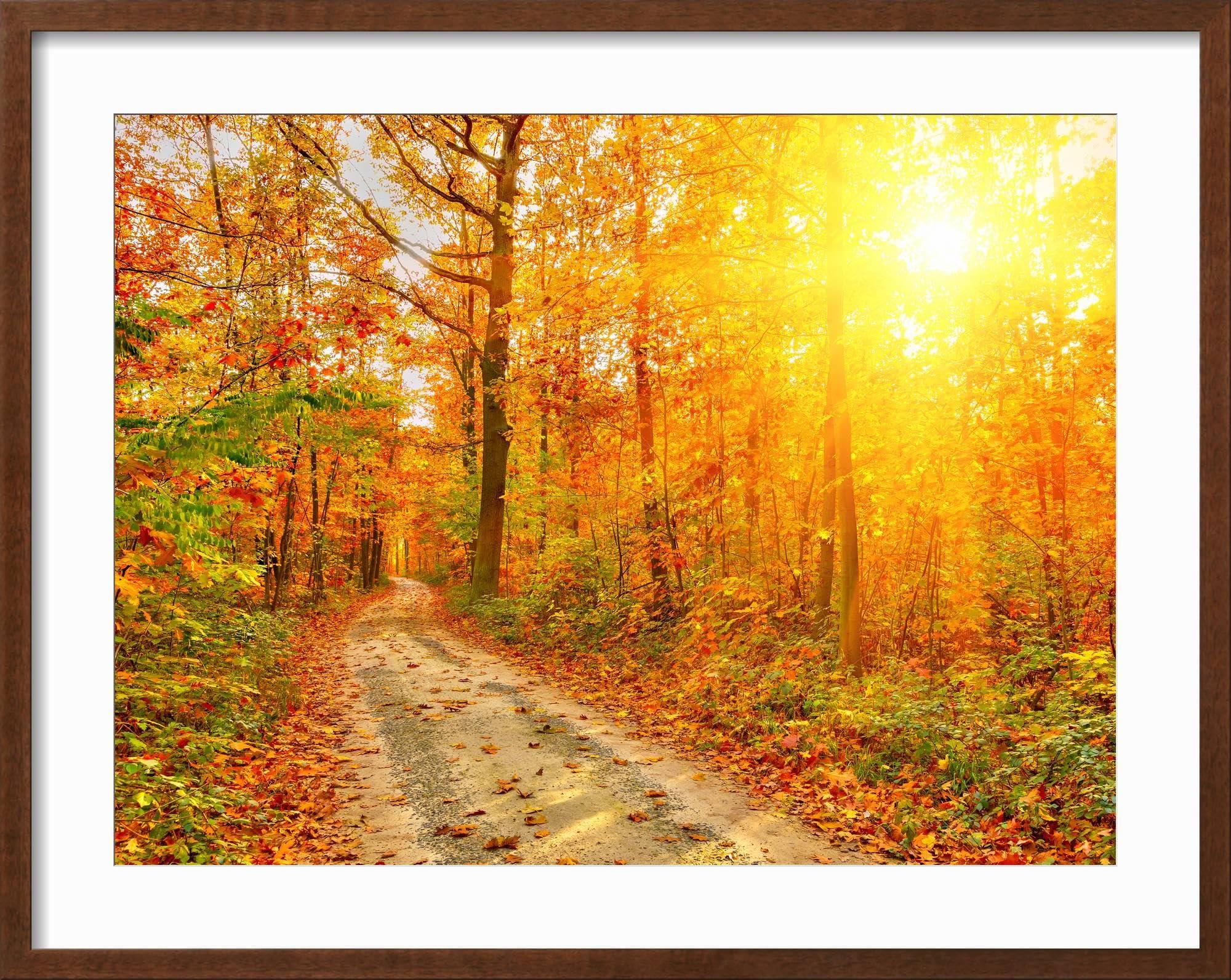 ART.COM ART.COM Framed Wall Art Prints Pathway through the Autumn Forest by sborisov, Scenic Decor, 24\" x 18\", Espresso Frame with White Mat