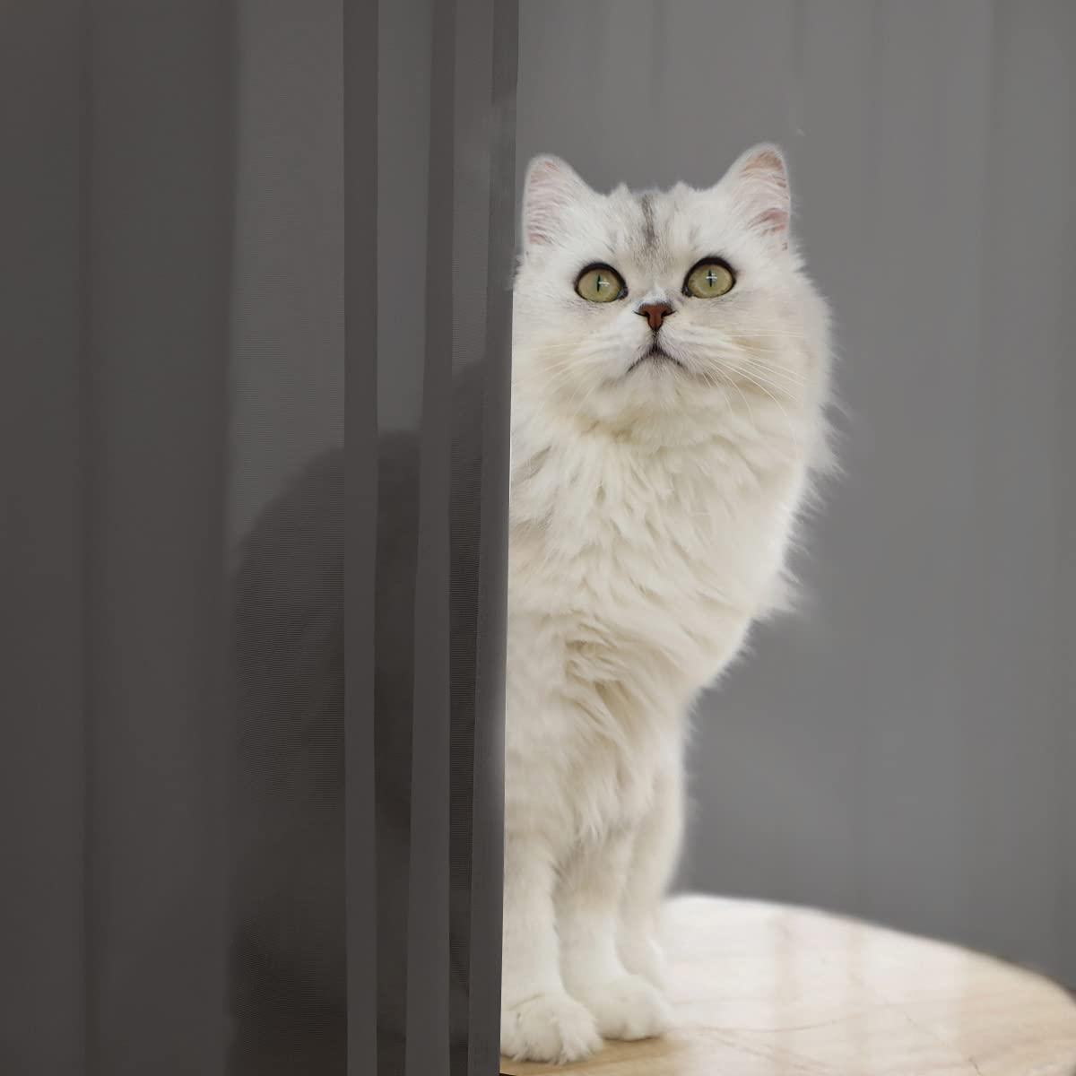 L&TEC Window Dark Grey Sheer Curtains 60 Inches Width 145 Inches Long 2 Panels Sheer Curtains Clear Curtains Basic Rod Pocket Panel for Home Living Room Bedroom Kids Room Yard Patio Parlor Sliding