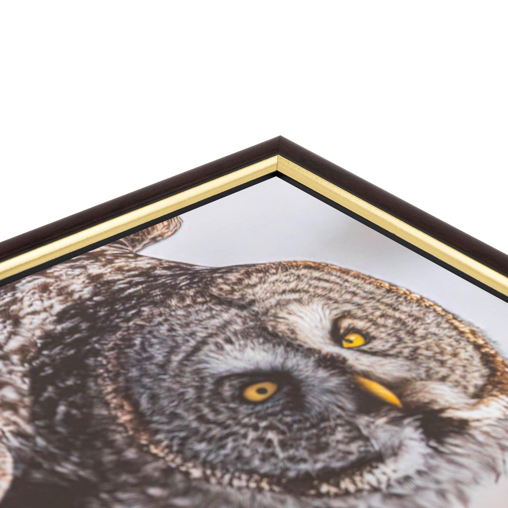 ArtToFrames ArtToFrames 26x38 Inch Brown Picture Frame, This 1.25 Inch Custom MDF Poster Frame is Mahogany and Gold Slope, Great for Your Art or Photos - Comes with Economy Acrylic