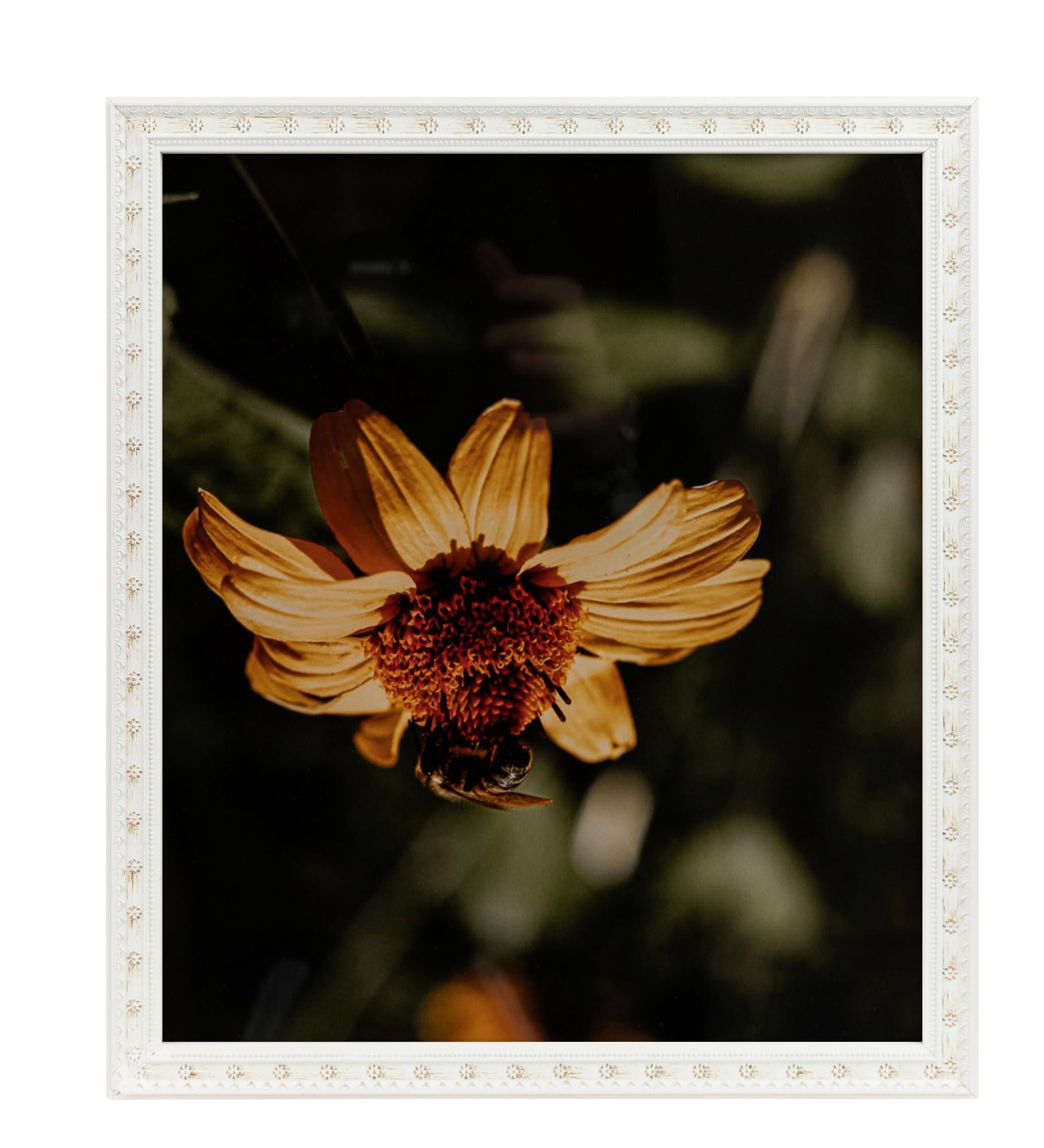 ArtToFrames ArtToFrames 20x30 Inch White Picture Frame, This 0.75 Inch Custom Poster Frame is White - Comes with Economy Acrylic and 1 Backing (WOM5125-20x30)