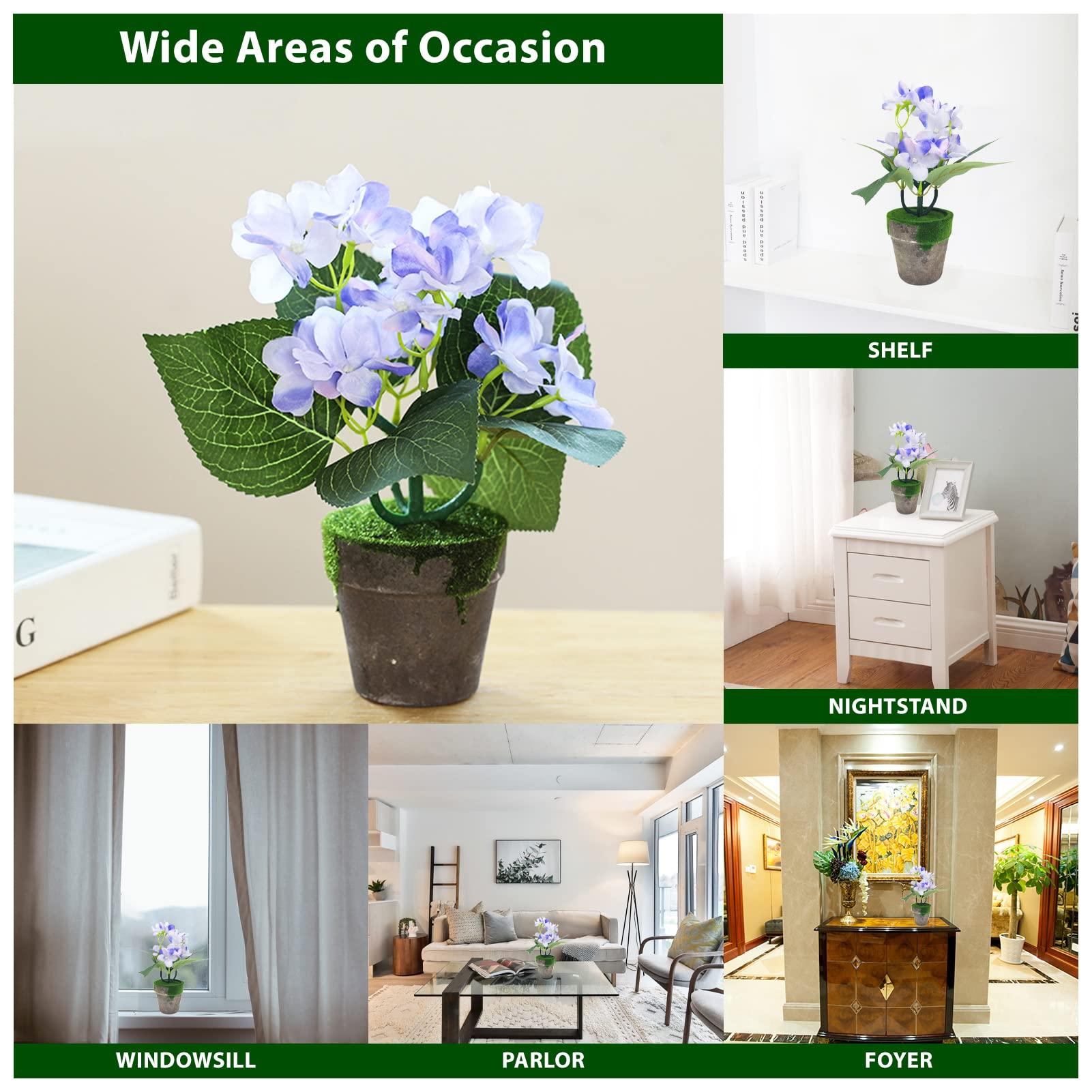 Hallmark Keepsake Hallmark Keepsake Christmas Ornament 2023, The Wizard of Oz Ornament, Under the Poppies\' Spell, Dorothy Gifts