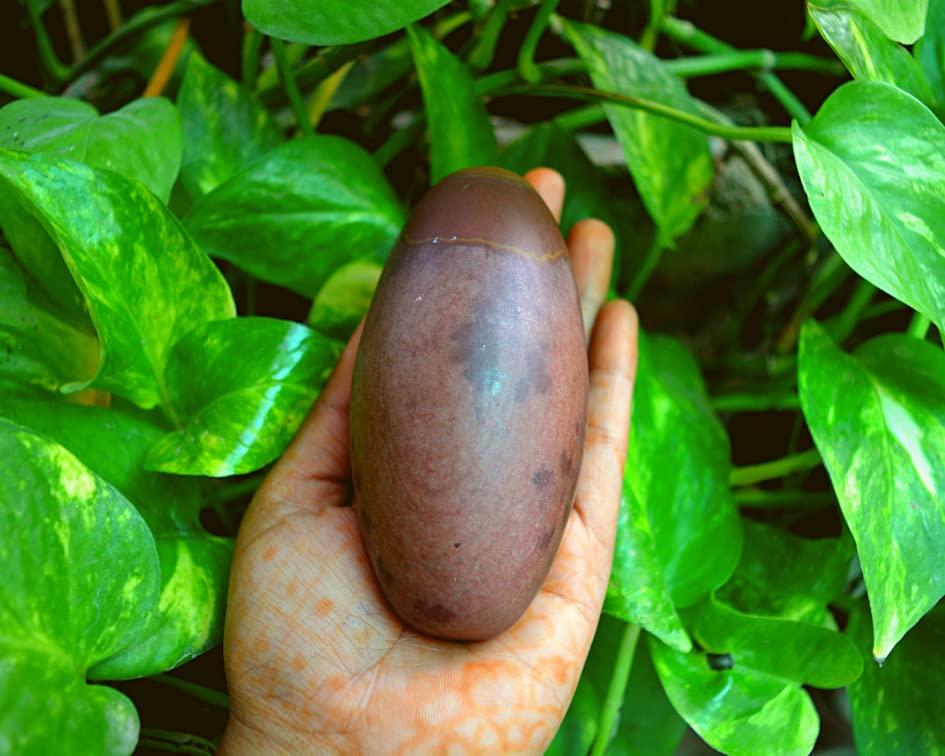 Shiva Lingam Shop Shiva Lingam Stone ~I-5700