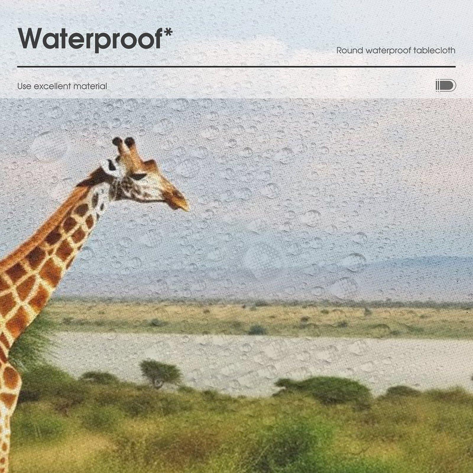 KAFFA ROASTER KALDI Coffee Roaster - Motor Drive Type (Roaster Only)