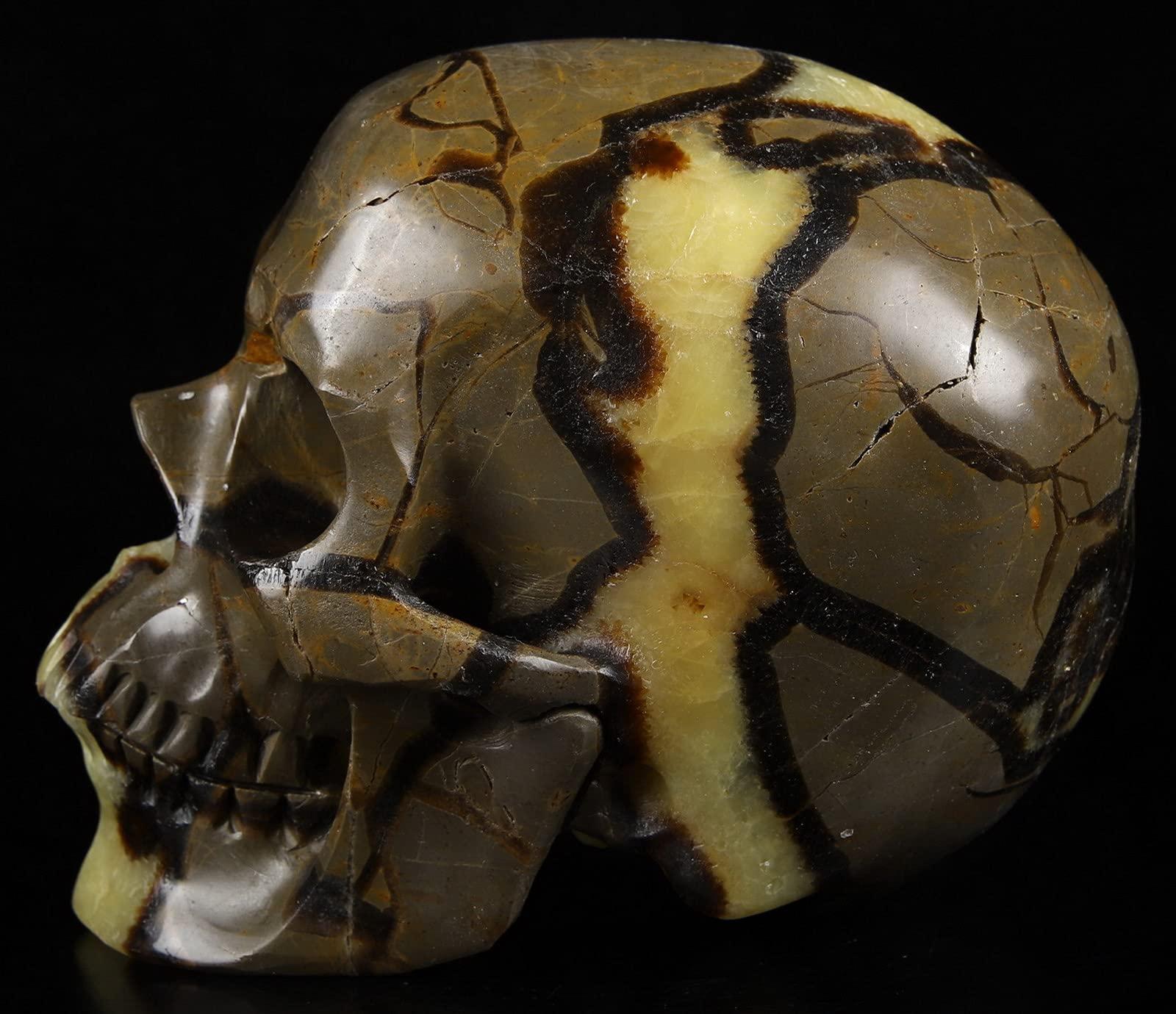 Skullis Skullis 5.0" Dragon Septarian Stone Hand Carved Crystal Skull, Super Realistic, Crystal Healing, Hand Carved Gemstone Fine Art Sculpture, Reiki Healing Stone Statue.1133 Z8