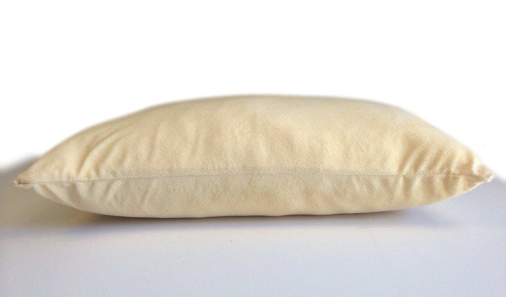 eConsumersUSA Micro Cushion Gel Memory Foam Queen Bed Sleep Firm Pillow Dual Zone Case with Beige Plush Velour Luxurious Comfort Cover