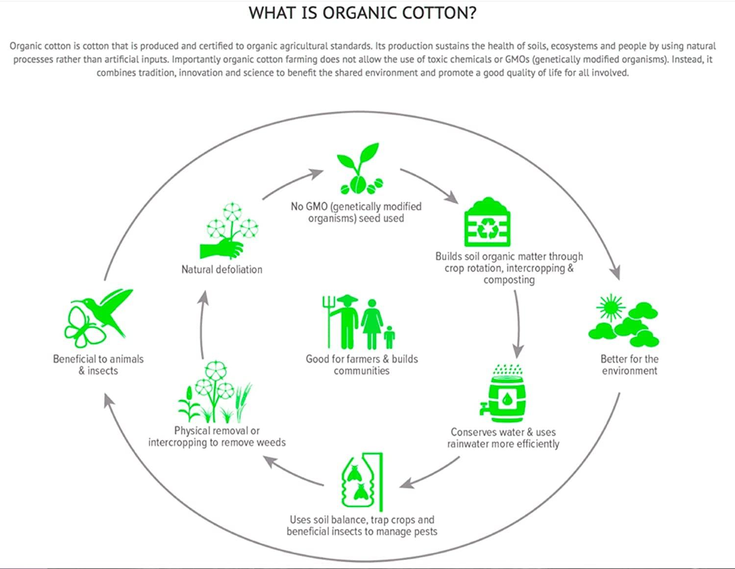 Femini Fashion Extra Deep Pockets 1000 Thread Count 100% Organic GOTS Certified Cotton, 22-Inch Deep-Pocket, 4-Piece Bed Sheet Set (1 Flat Sheet, 1 Fitted Sheet, 2 Pillow Covers) - Twin-XL, White