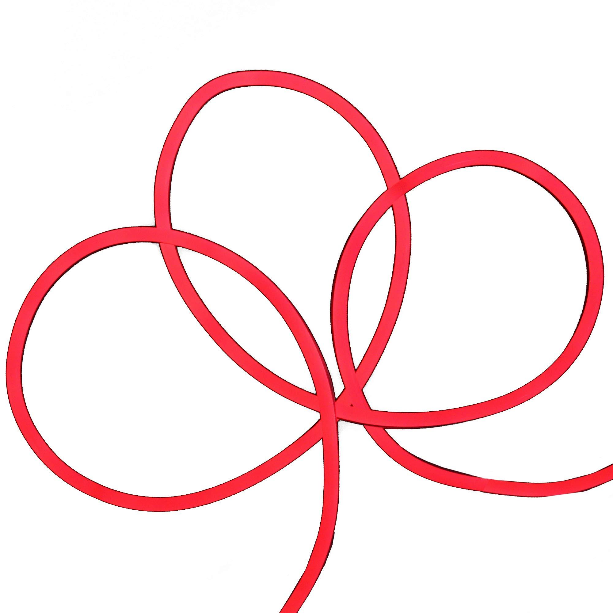 Northlight LED Commercial Grade Neon Style Flexible Christmas Rope Lights - 50\' - Red