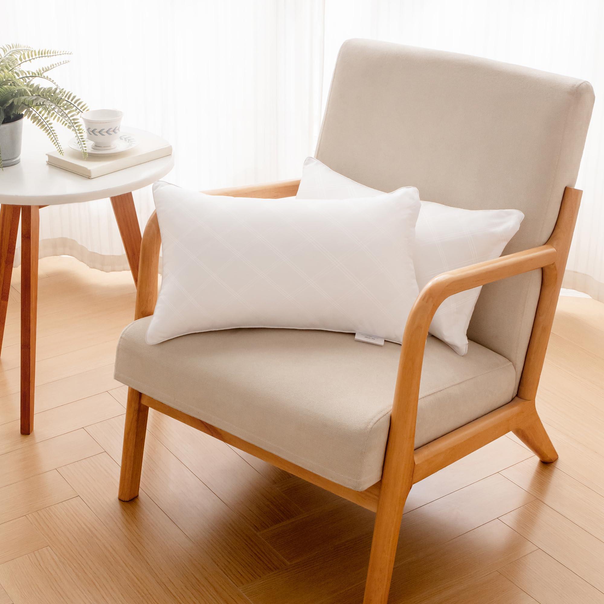 Oubonun Oubonun 12 x 20 Pillow Inserts (Set of 2), Rectangle Square Interior Sofa Pillow Insert Pair, White Decorative Lumbar Pillow for Bed Couch Living Room