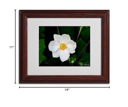 Bulbrite (Pack of 5) Bulbrite 20W T3 KX2000 Frost DC 120V Light Bulb