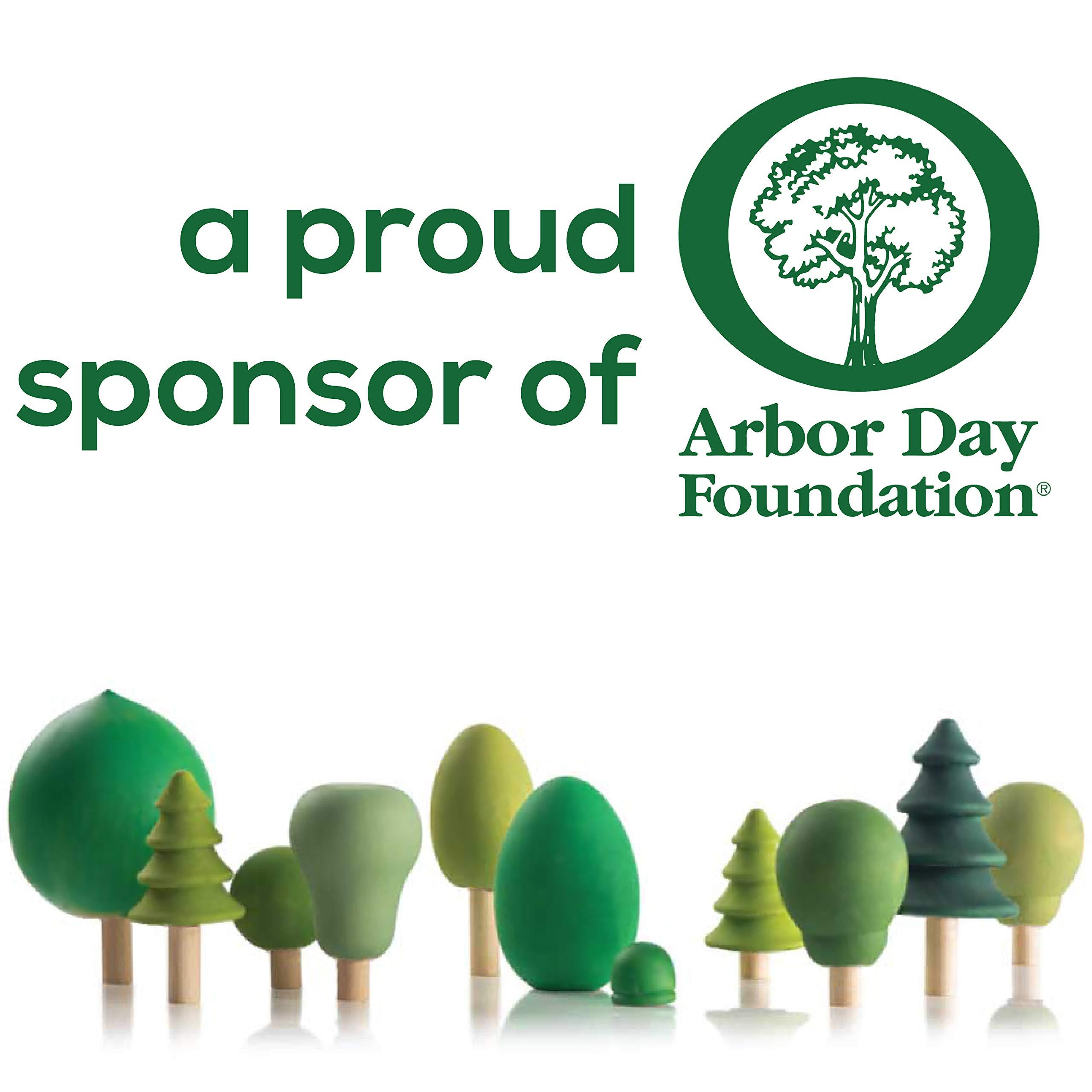 Woodpeckers 6 mm Baltic Birch Plywood 1/4 x 18 x 24 Inch, Box of 4 B/BB Grade Craft Wood, Stronger Than Basswood Sheets, for Laser, CNC Cutting and Wood Burning, by Woodpeckers