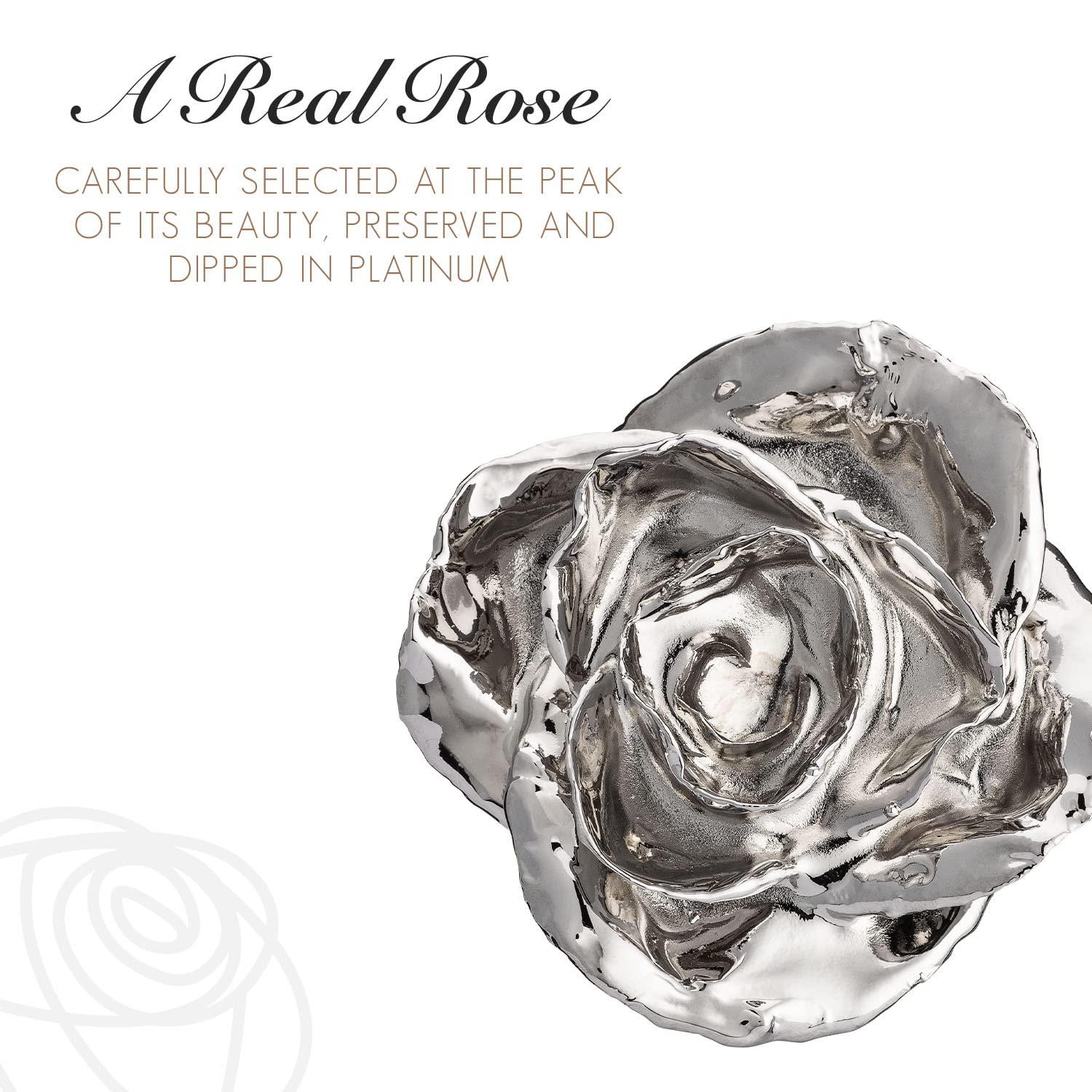 Forever Rose Forever Rose Real Platinum Rose, Genuine, One of A Kind, Hand Dipped & Everlasting Platinum Dipped Real Rose, Beautiful Forever Flower, Ideal Anniversary, and Romantic Valentine\'s Day Gifts for Women