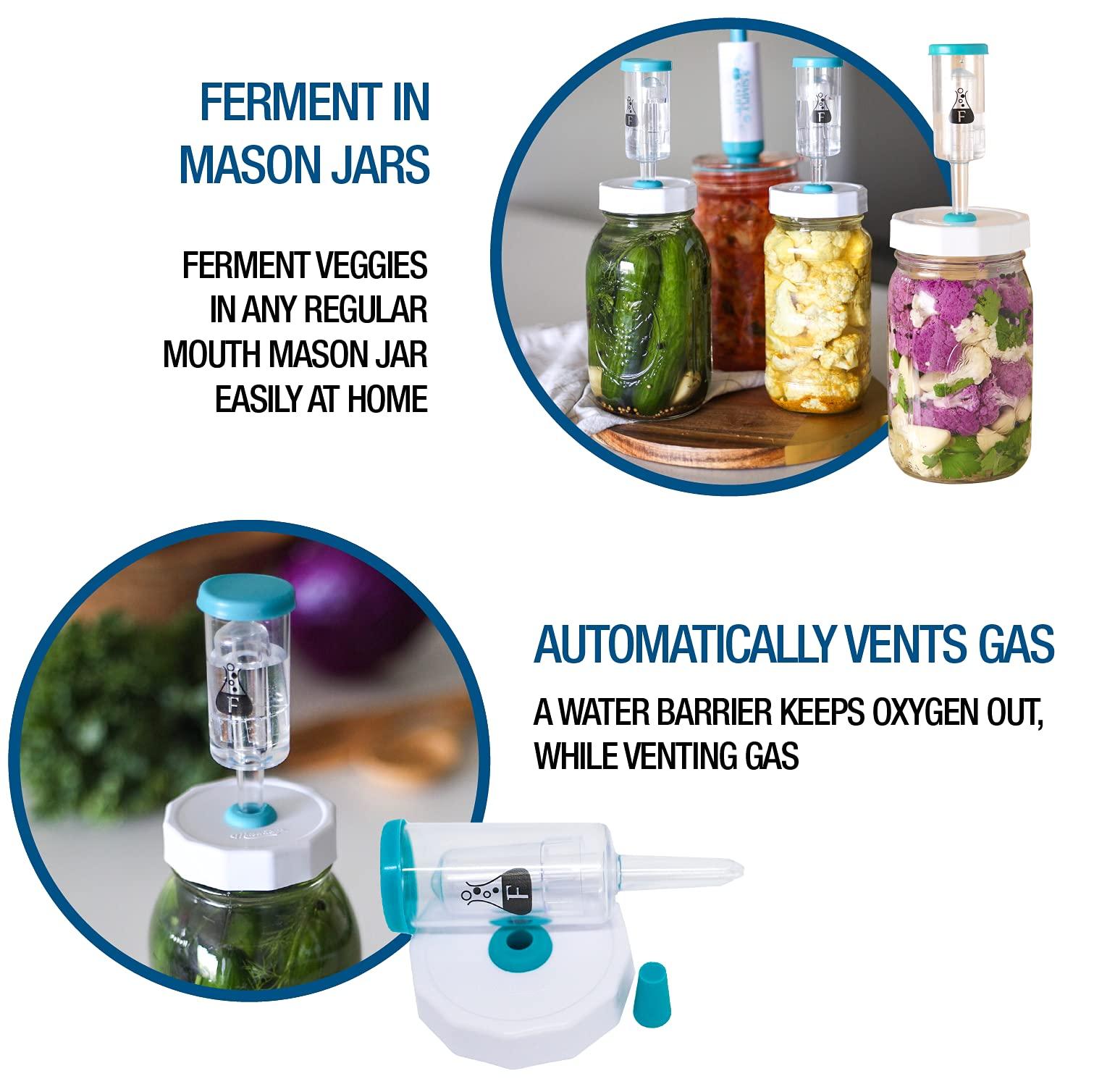 Fermentology Fermentology Sauer System Fermentation Airlocks – Lids, Grommets, Gaskets, Stoppers – for Regular Mouth Mason Jars – 4 Pack