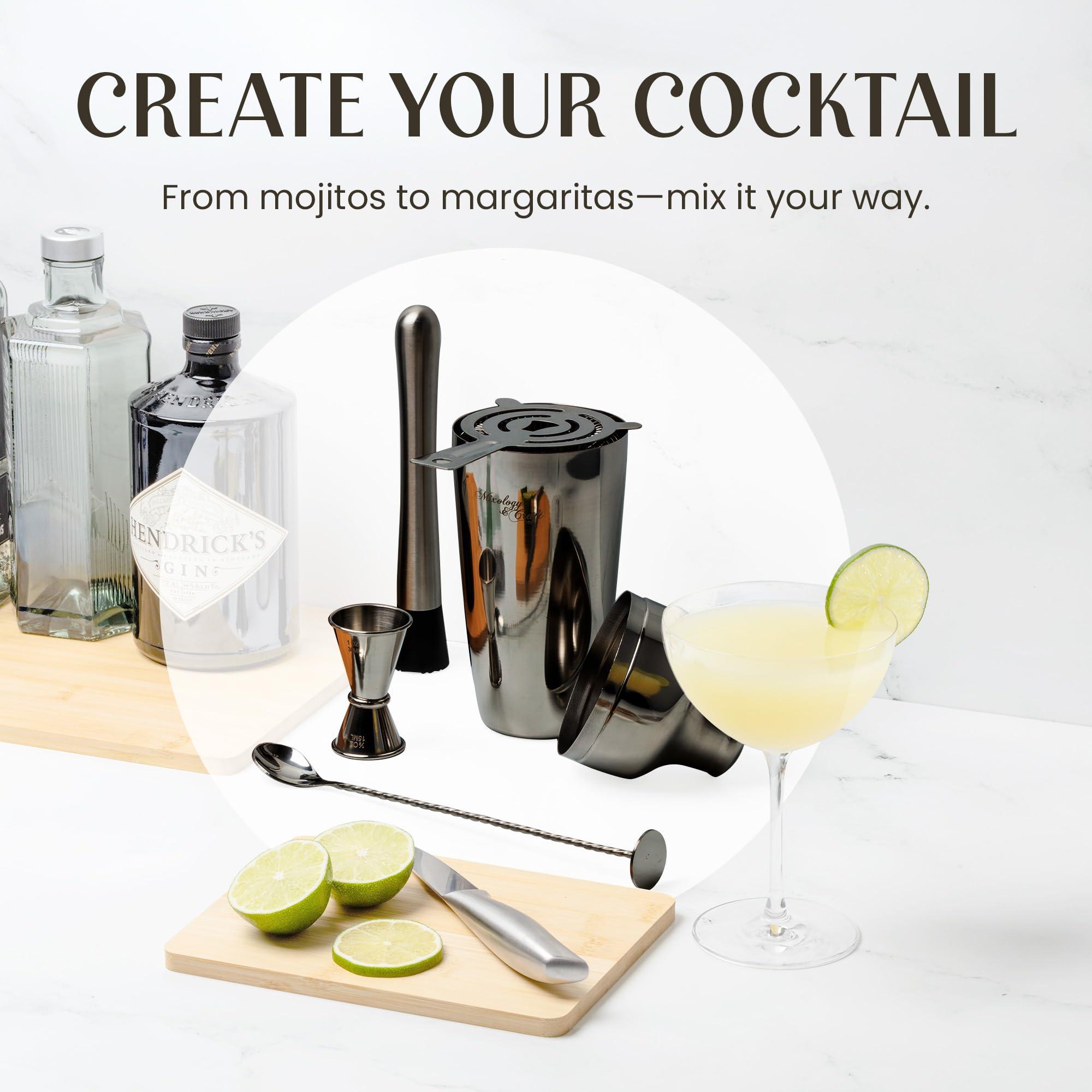 Mixology & Craft Mixology & Craft Bartender Kit: 10-Piece Bar Tool Set with Bamboo Stand | Perfect Home Bartending Kit and Martini Cocktail Shaker Set Great Drink Mixing Experience | Fun Housewarming Gift (Gun-Metal)