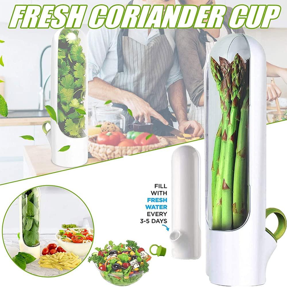 Spacebuyer Herb Saver Best Keeper for Freshest Produce Lasting Refrigerator Herb Keeper Containers Clear Herb Savor Pod Herb Storage Container for Cilantro Mint Parsley Asparagus (2PC)