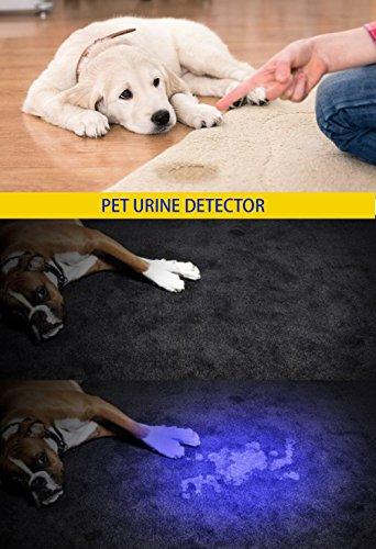 DARKBEAM DARKBEAM UV Light Rechargeable USB Flashlight 395nm Blacklight Ultraviolet Wood\'s Lamp LED Portable Mini Handheld Pocket Torch Detector for Dog Urine Pet Stains Anti-counterfeiting, Resin Curing