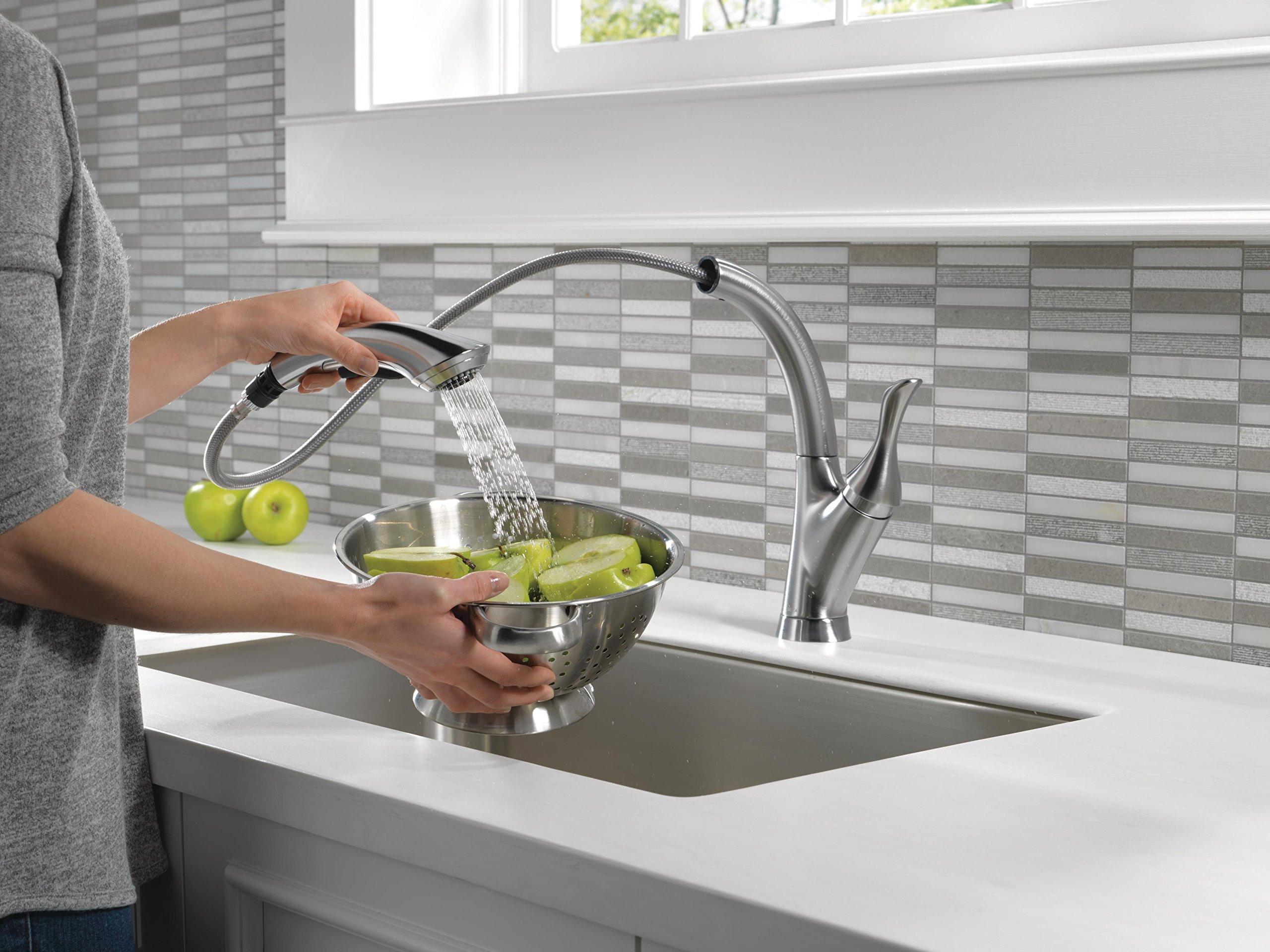 DELTA FAUCET Delta Faucet Linden Single-Handle Kitchen Sink Faucet with Pull Out Sprayer, Arctic Stainless 4153-AR-DST
