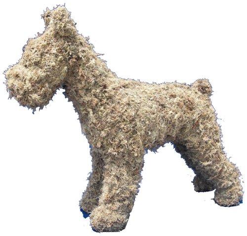Topiary Art Works Schnauzer Topiary Frame - 19"- Made in USA - Best on The Market