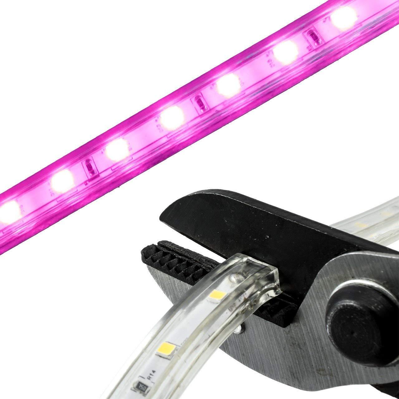 Brilliant Brand Lighting Brilliant Brand Lighting Pink LED Strip Light - 120 Volt - High Output (SMD 5050) - Custom Cut - 106.6 Feet