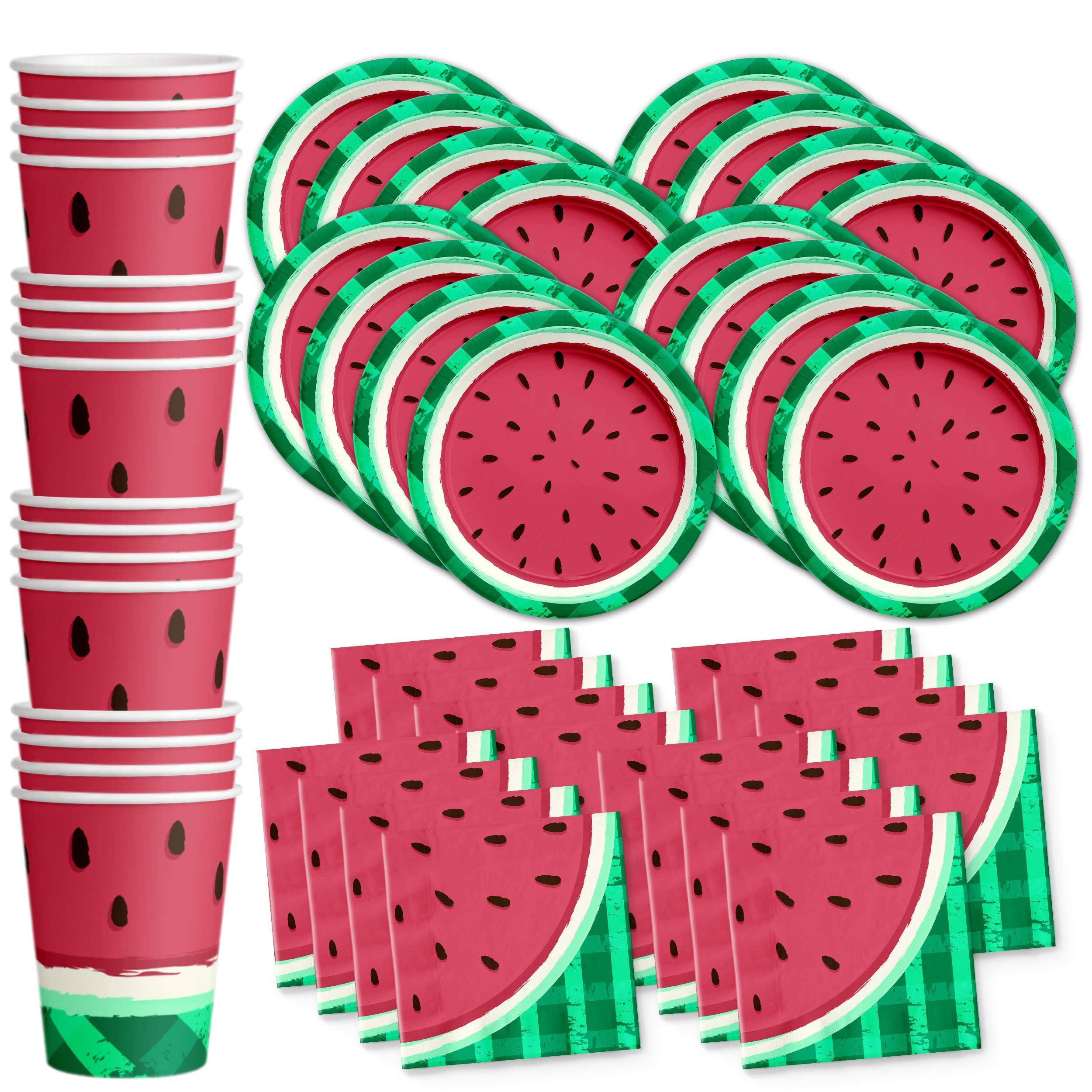 Birthday Galore Watermelon Birthday Party Supplies Set Plates Napkins Cups Tableware Kit for 16