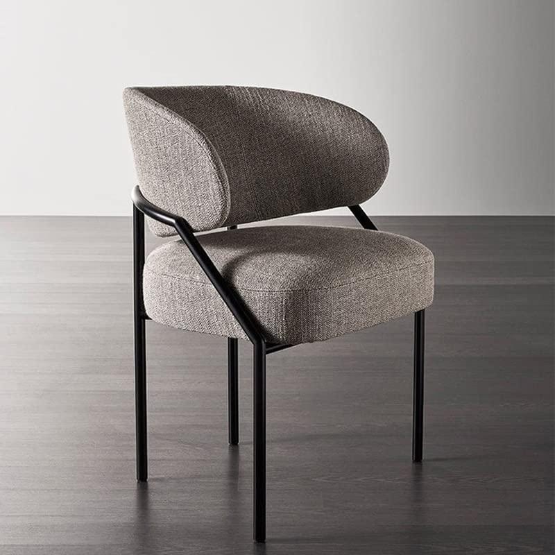 OLOTU OLOTU Dining Room Chairs Dining Chairs Wrought Iron Kitchen Chair Comfortable Leisure Padded Chairs for Kitchen Living Room Dining Room Chairs Latest Styles