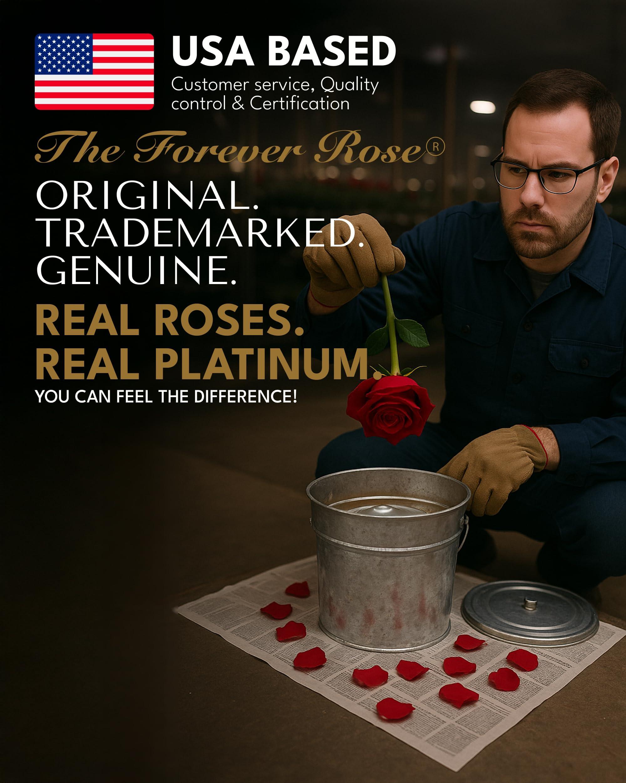 Forever Rose Forever Rose Real Platinum Rose, Genuine, One of A Kind, Hand Dipped & Everlasting Platinum Dipped Real Rose, Beautiful Forever Flower, Ideal Anniversary, and Romantic Valentine\'s Day Gifts for Women