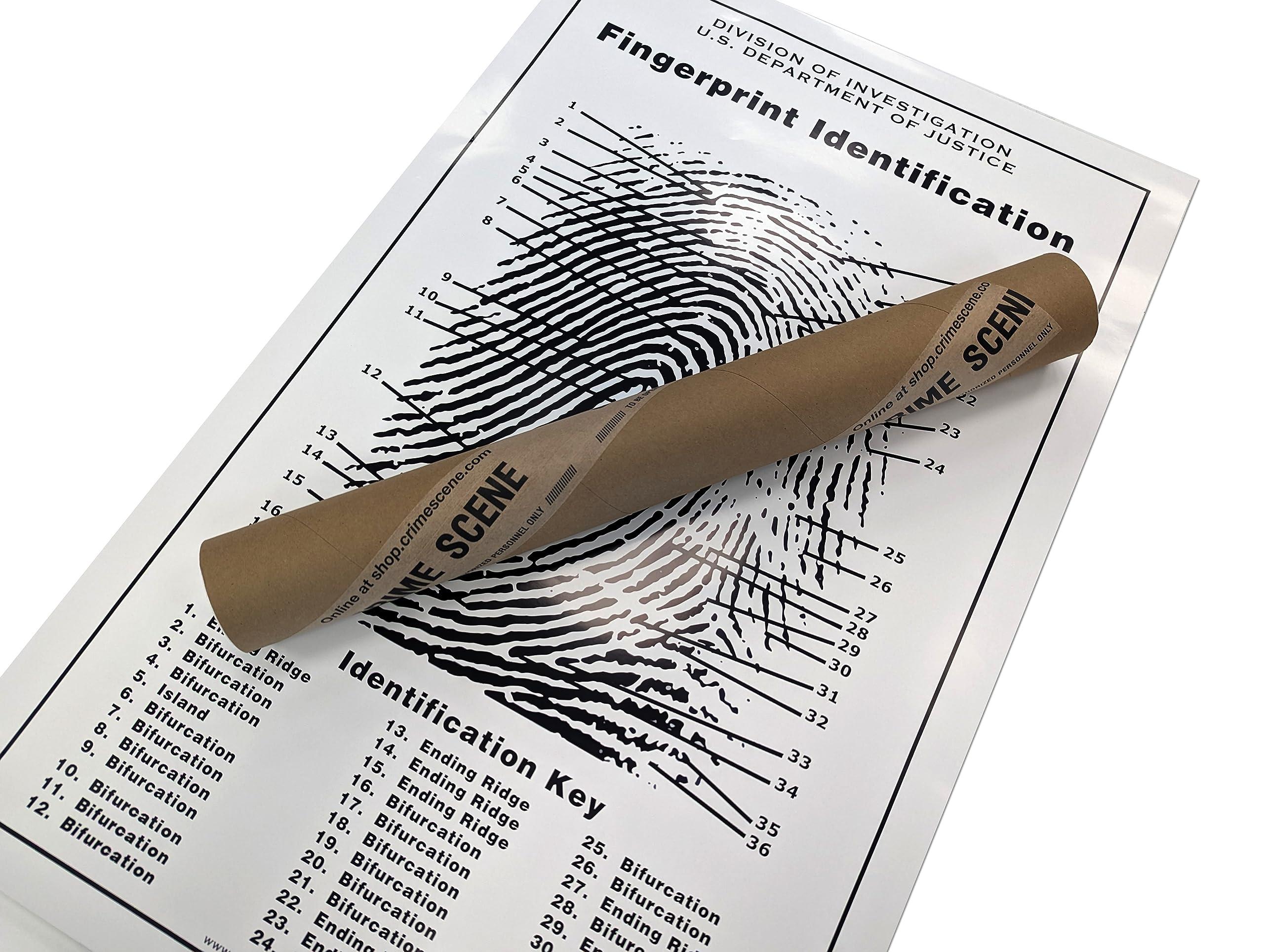 Crime Scene Crime Scene Fingerprint Chart, Poster Size 24\" by 36\"
