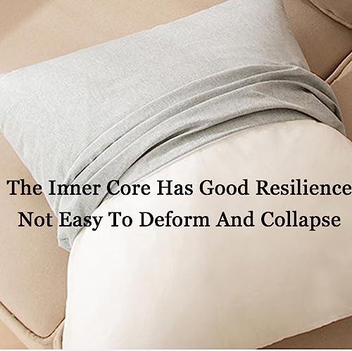 ZTGL ZTGL Lumbar Support Pillow Back Support Pillow Chair Pillow Desk Chair Back Cushion, for Chair Car Office Chair Seat Back Pain Back Rest,J,45x45x13cm(4PCS)