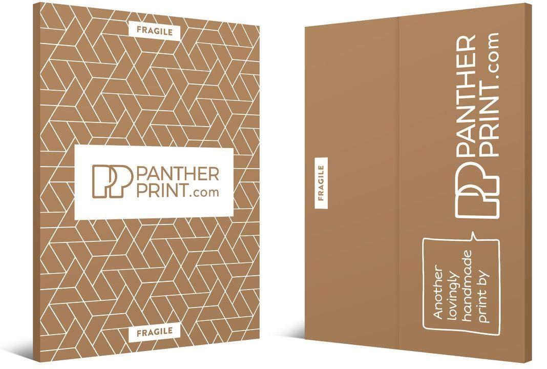 Panther Print Liverpool FC You\'ll Never Walk Alone Canvas Wall Art Picture Print Home Decor (18x12)