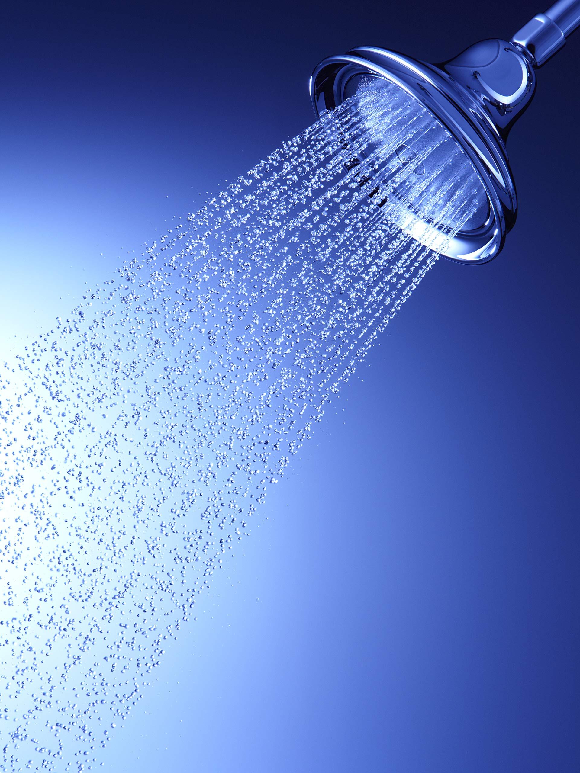 Kohler Bancroft Sngl-Fctn Katalyst Shwrhd