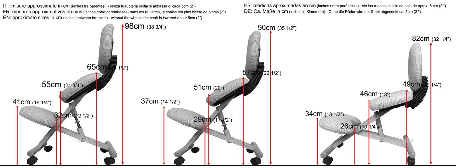 Cinius cinius Ergonomic Chair with Backrest, Black
