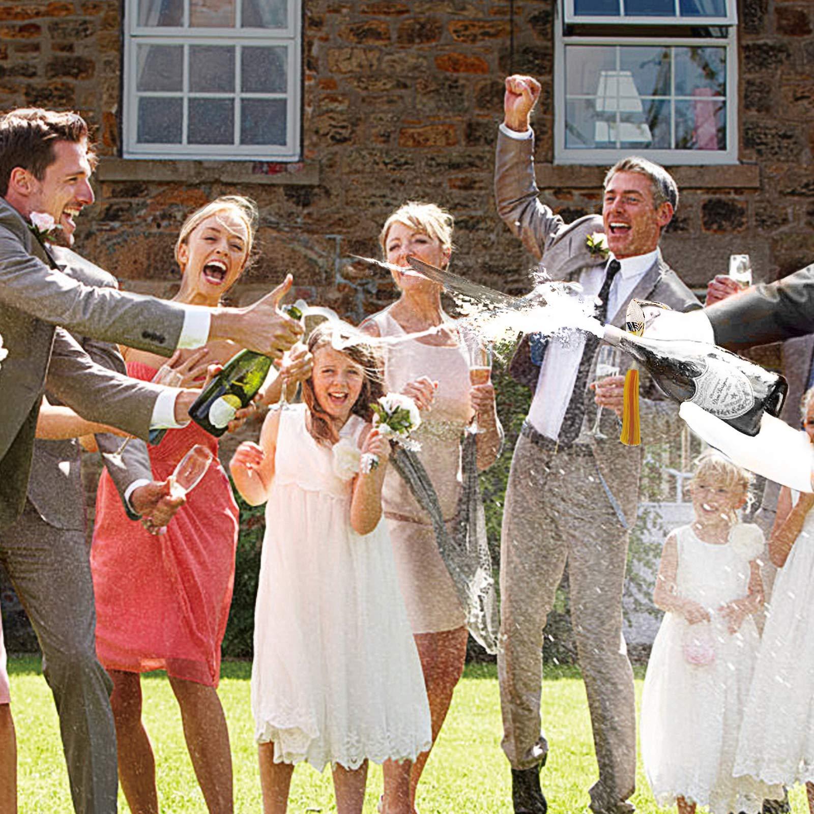 Resafy Resafy Champagne Saber Champagne Golden Handle Knife Champagne Sword Champagne Opener With Gift Case for Party Wedding