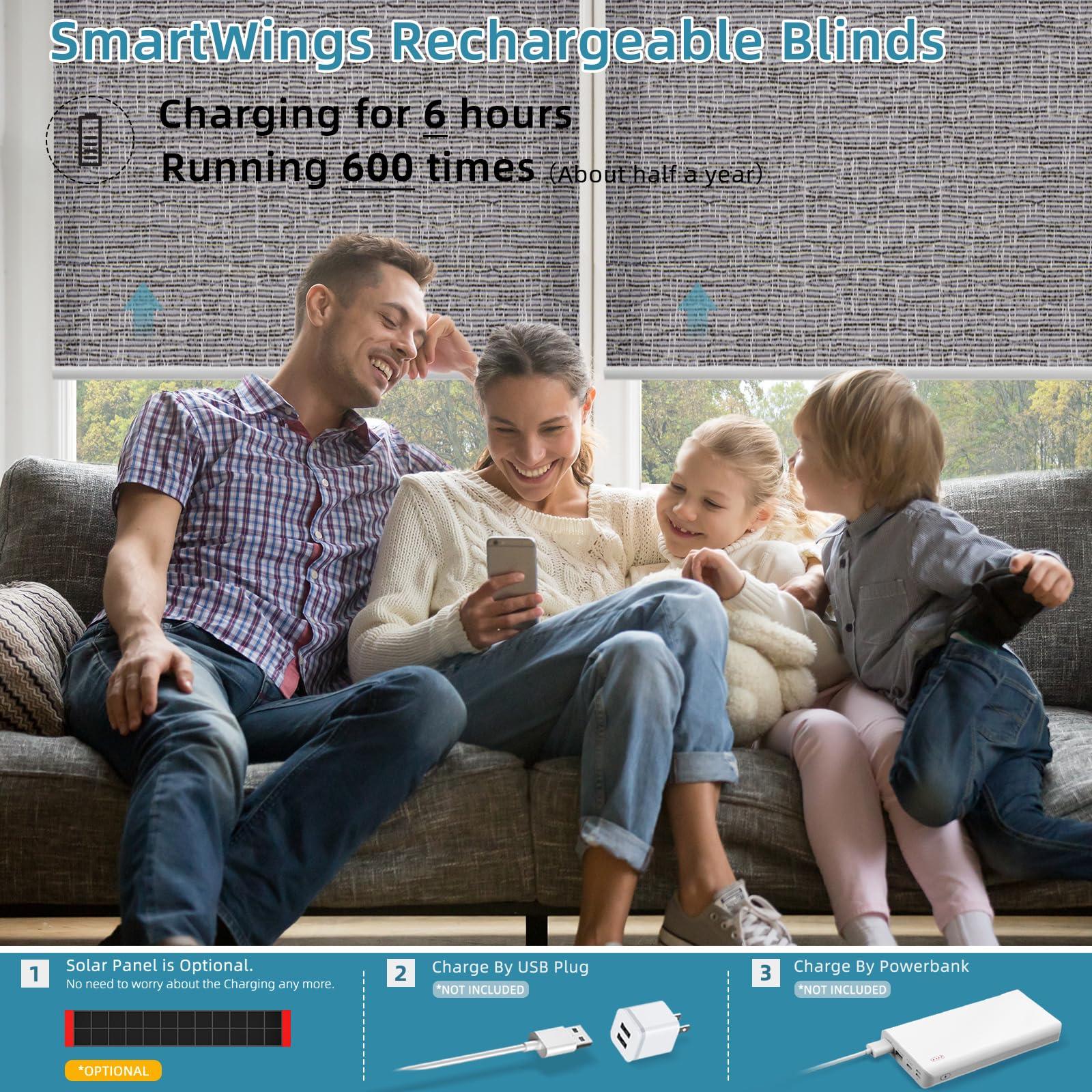 SmartWings SmartWings Motorized Blinds with Remote, Compatible with Homekit Thread-Enabled Shade, Light Filtering Cordless Smart Shade, Electric Automatic Sunscreen Blinds, Customized, Safari Midnight
