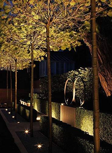 BAOMING BAOMING MR16 LED Bulb 5W, 50 Watt MR16 Halogen Equivalent, 2700K Soft Warm White,12V Low Voltage, Landscape Lighting/Track Lighting, GU5.3 Base 38° Light Not-Dimmable 6-Pack