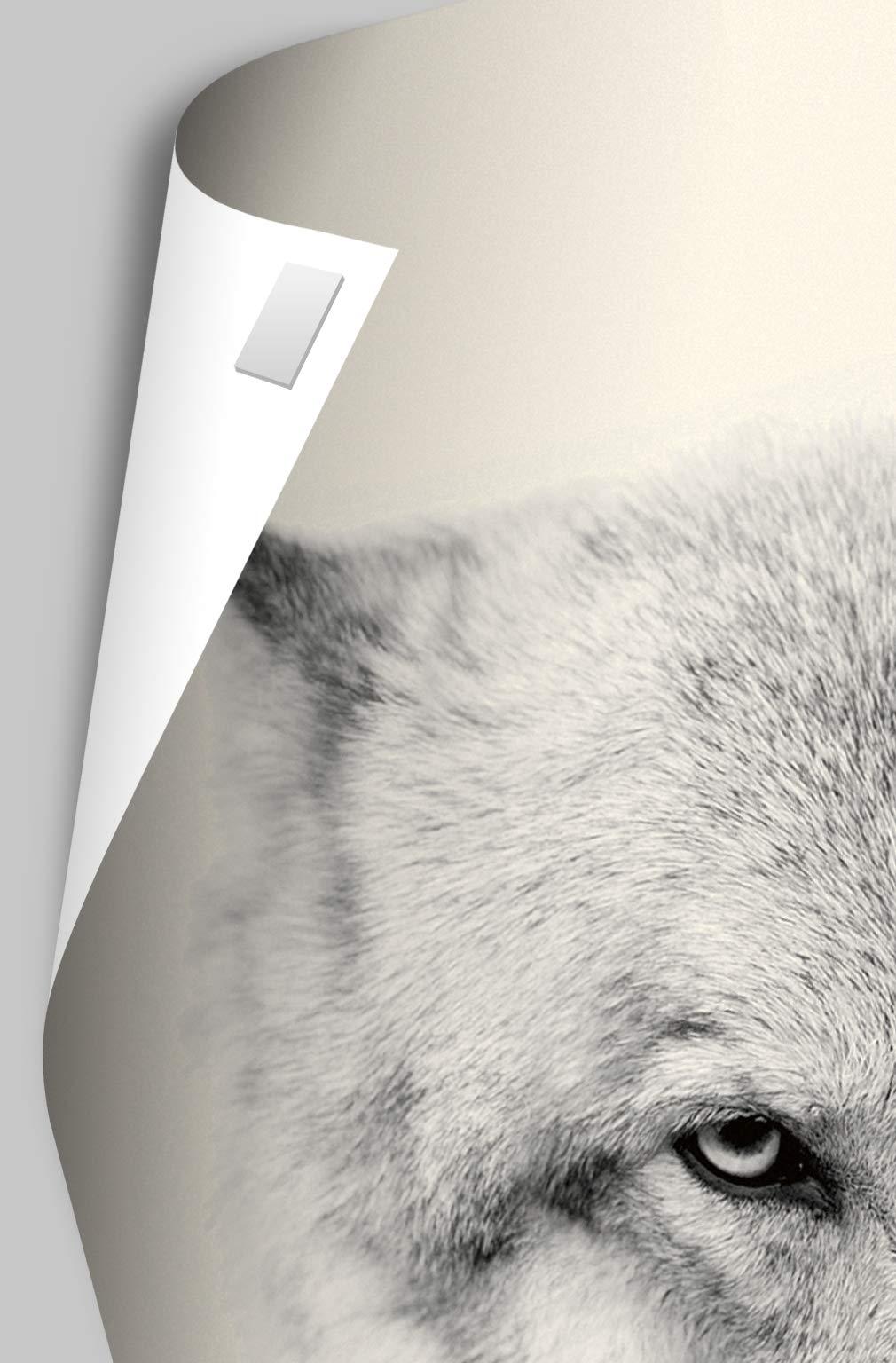 Trends International Trends International Sports Illustrated: Swimsuit Edition - Kate Bock 17 Wall Poster, 22.375\" x 34\", Premium Poster & Mount Bundle