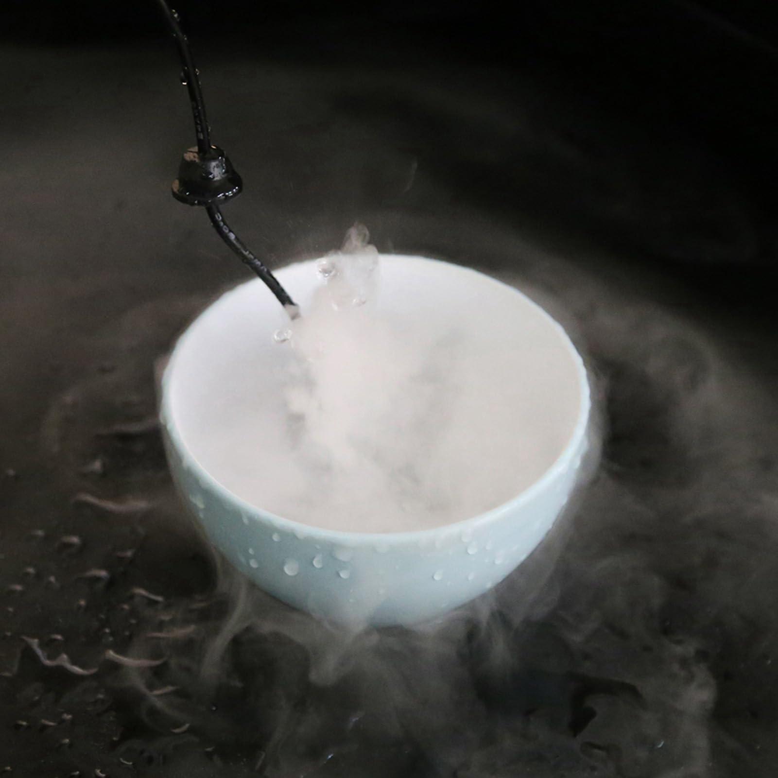 Enforose Enforose Mist Maker, Water Fountain Pond Atomizer Air Humidifier 24V Ultrasonic Mist Maker for Gardening(EU/US Style)(US Style)