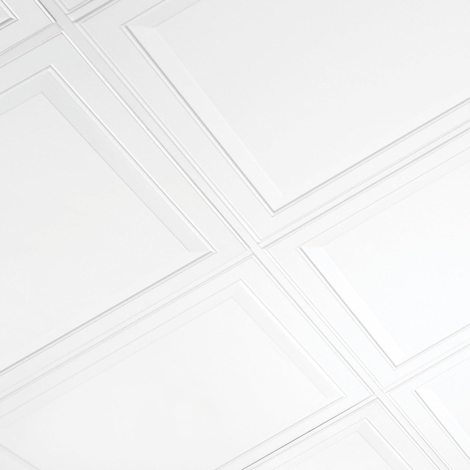Armstrong Armstrong Ceiling Tiles; 2x2 Ceiling Tiles - 6 pc White; Acoustic Ceilings for Suspended Ceiling Grid; LEDGES 1205