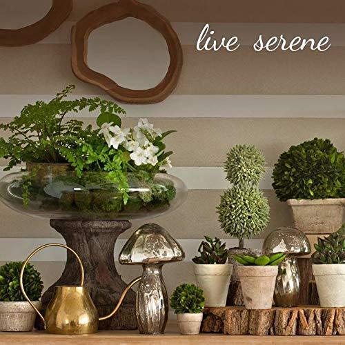 Serene Spaces Living Serene Spaces Living Set of 2 Natural Teak Serving Bowl, Hand-Carved Large Salad Bowl, Wooden Decorative Dish for Keys, Jewelry, Potpourri, Decorative Fruit Bowls, Measures 6\" Diameter & 2\" Tall
