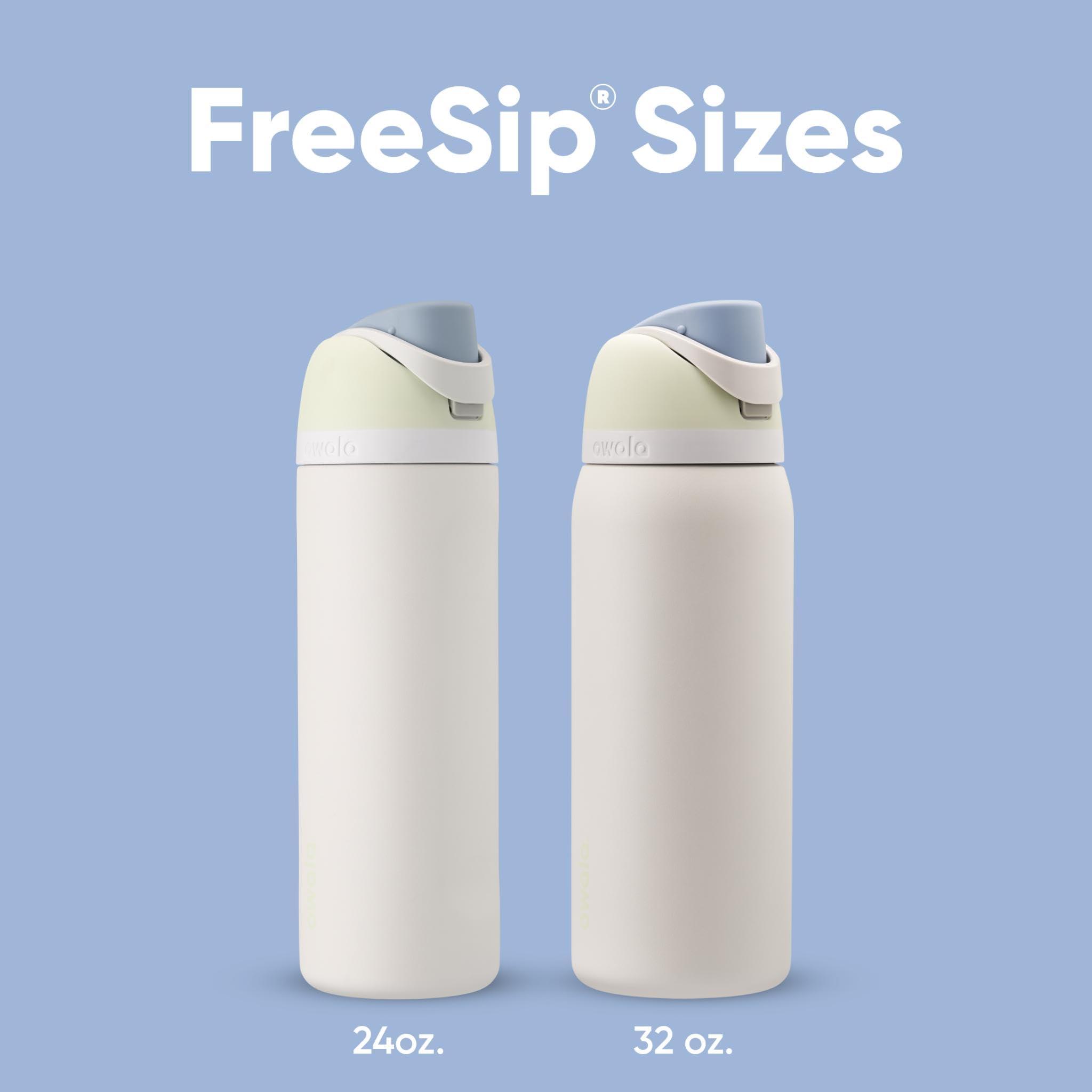 Owala Owala FreeSip Insulated Stainless Steel Water Bottle with Straw for Sports, Travel, and School BPA-Free Sports Water Bottle, 32 oz, Iced Breeze