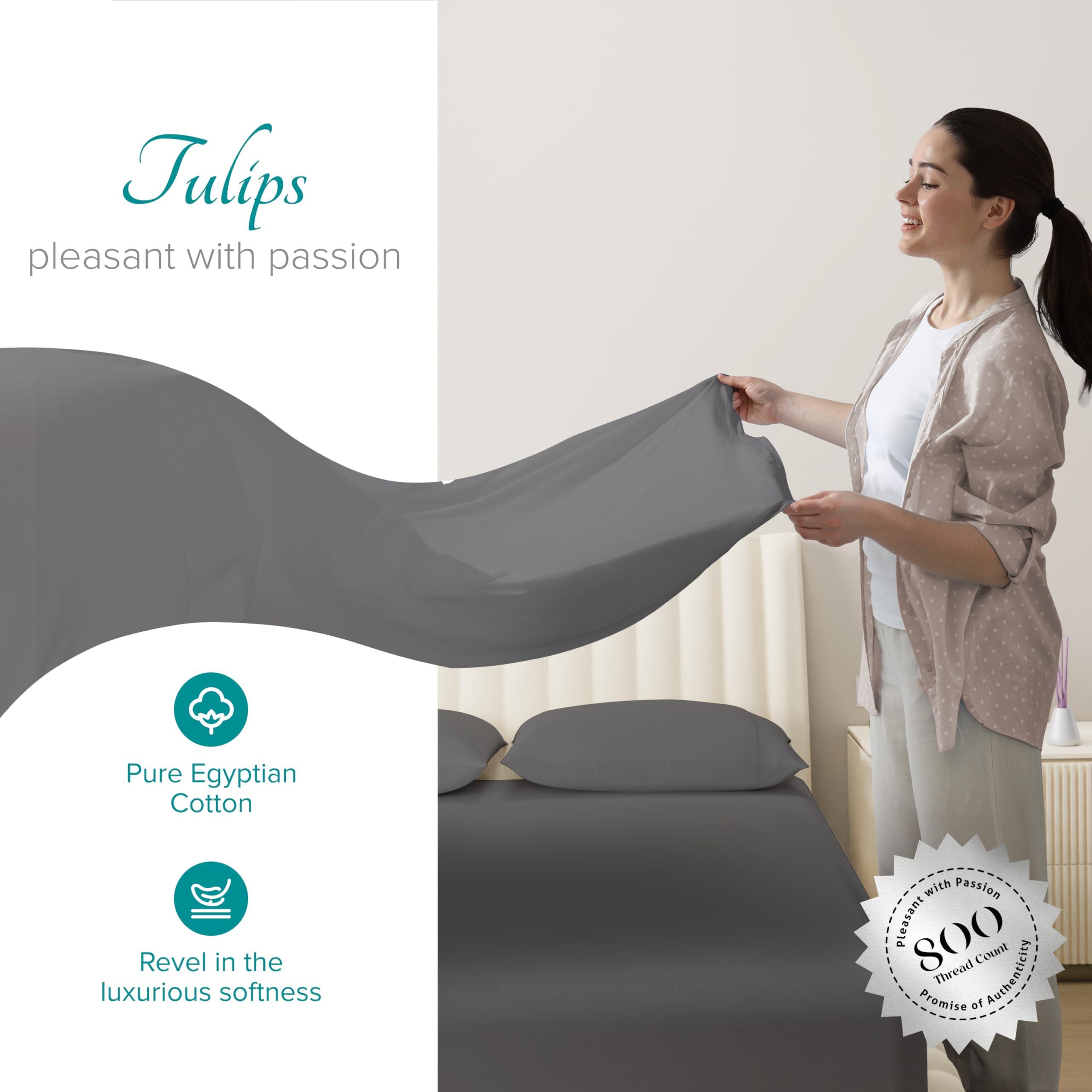 Carressa Linen Carressa Linen 100% Egyptian Cotton Split King Sheets Sets for Adjustable Bed - 800 Thread Count 5 PC Top Split King Sheet for Sleep Number Bed, Soft Cooling Sheets, Fits Mattress Upto 18\" - Dark Grey