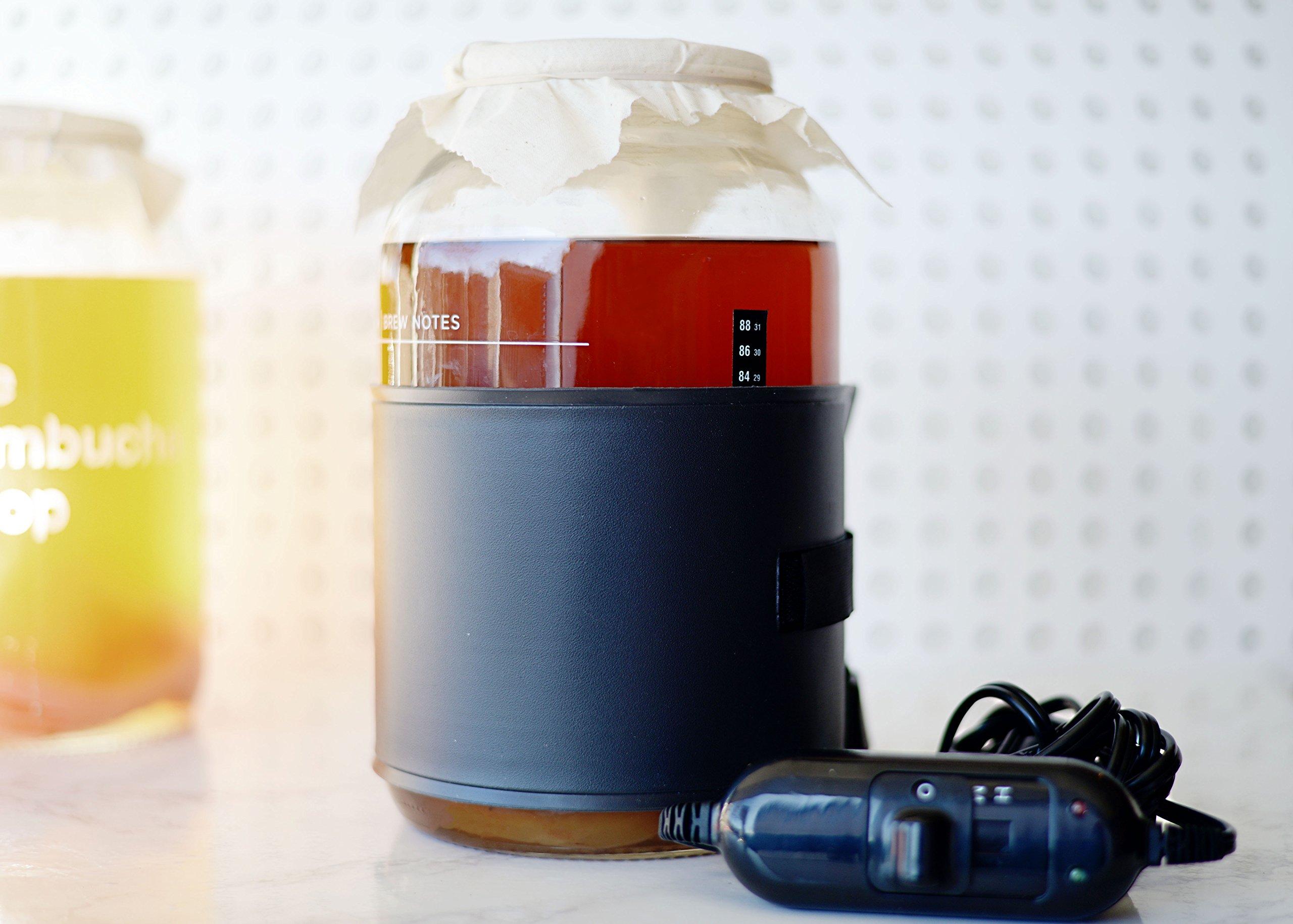 The Kombucha Shop The Kombucha Shop, Deluxe Kombucha Brewing Kit with Tea to Make an Additional 10 Gallons - Six Swing Top Bottles, Stainless Steel Funnel, Custom Bottle Brush, 10 Gallon Tea & Our Original Brewing Kit