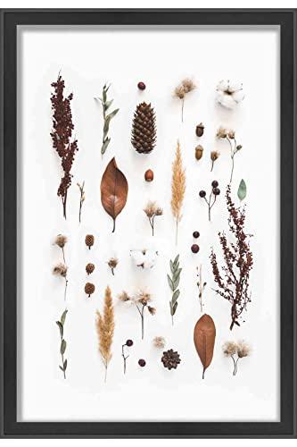 Poster Palooza 14x11 Black Shadow Box Frame - Shadow Box Frame Interior Size 14x11 by 1 Inches Deep - Black Frame is Made to Display Items Up to 1 Inches Deep! Includes Shatter Resistant Acrylic, Backing, Hardware